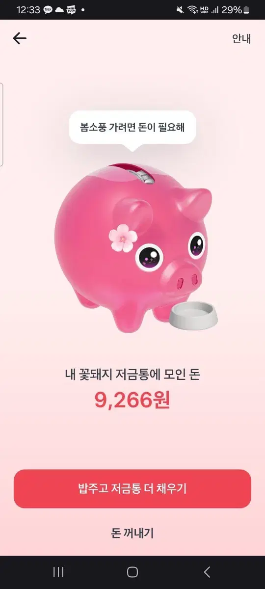 꽃돼지 밥주기 해주신 분께 인당 200원 드립니다 가장 먼저->300